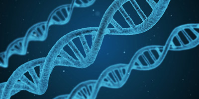DNA-Sample.jpg